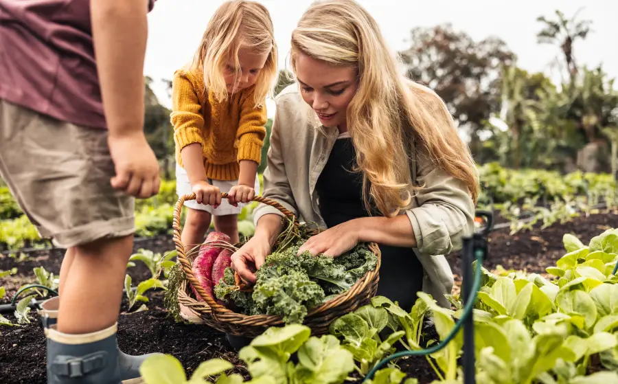 Plan Your Vegetable Patch with Our Ultimate Guide to Companion Planting